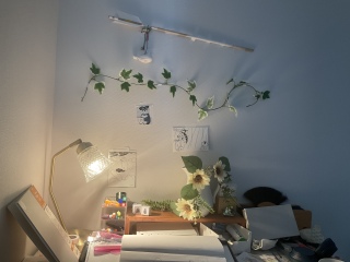 �t�ƂЂ܂��🌻🌿