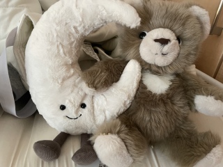 �W�F���[�L���b�g