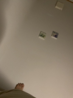 �͗l�ւ�����